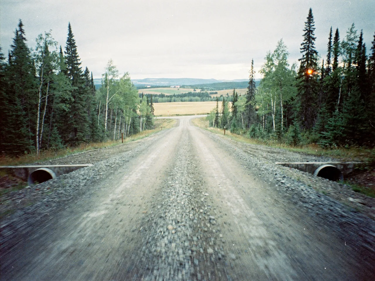 Illustration of a gravel access road through northern forest